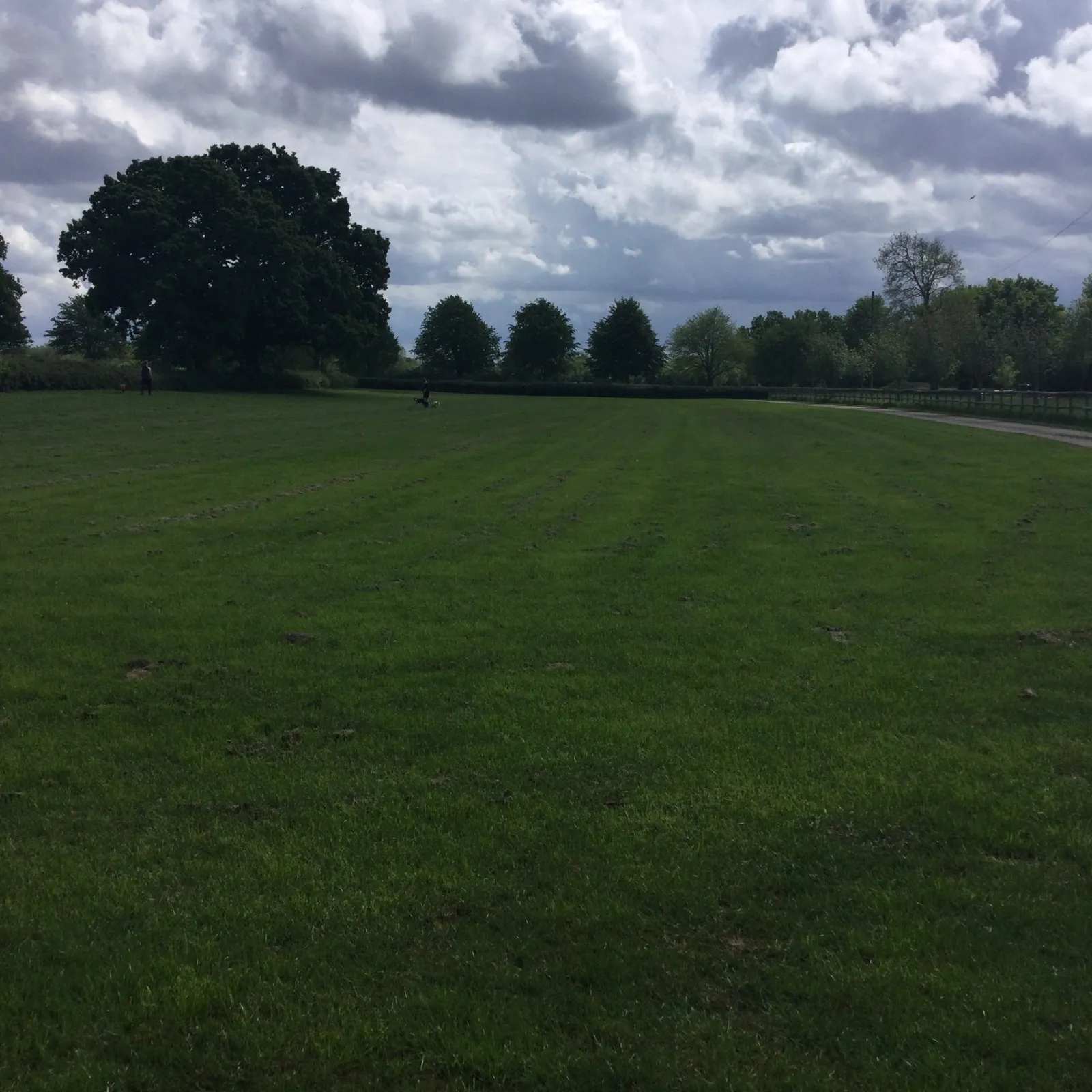 Paddock Image 1